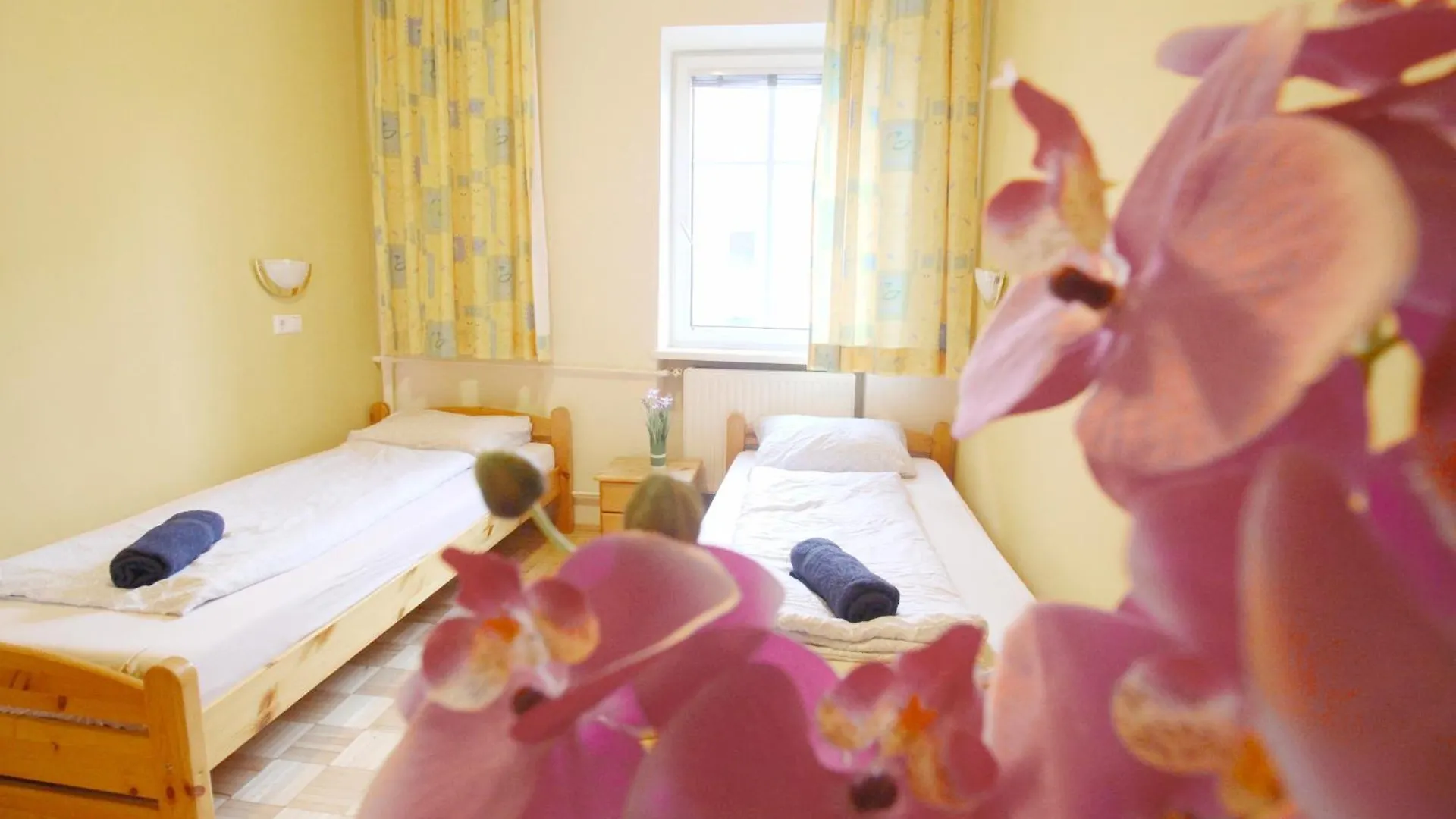 Double Room In Hutteldorfer Strasse Area Vienna Homestay